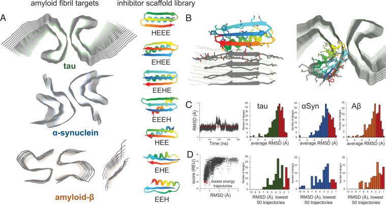 https://cdn.ncbi.nlm.nih.gov/pmc/blobs/80d8/9407671/0faa45aa9cc2/pnas.2206240119fig01.jpg