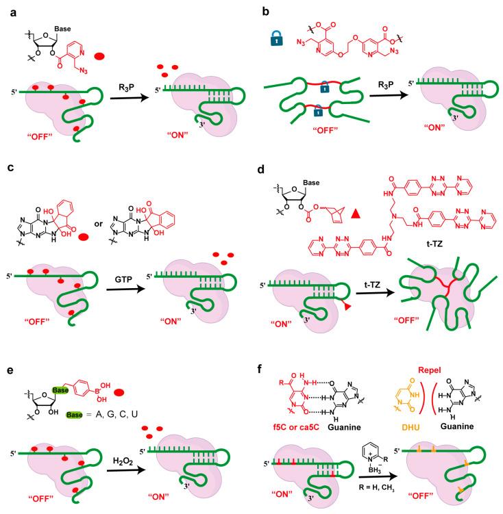 https://cdn.ncbi.nlm.nih.gov/pmc/blobs/80db/12073707/11a7aea2ce4c/molecules-30-01956-g004.jpg