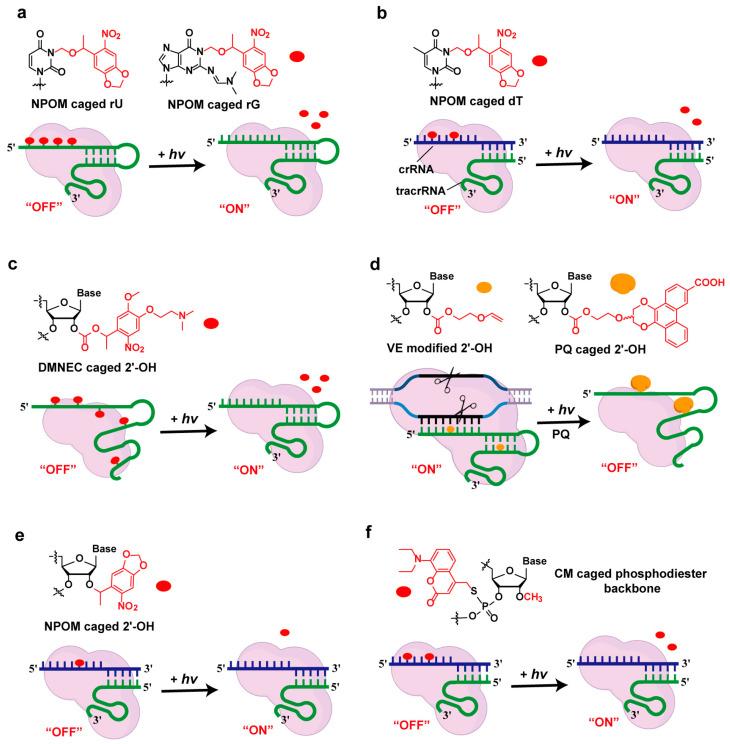 https://cdn.ncbi.nlm.nih.gov/pmc/blobs/80db/12073707/1b2064e6c46d/molecules-30-01956-g002.jpg