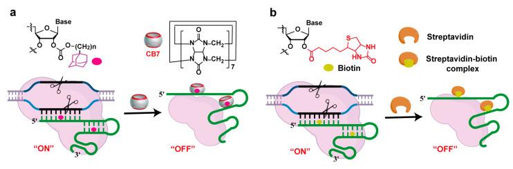 https://cdn.ncbi.nlm.nih.gov/pmc/blobs/80db/12073707/fd8736daafcd/molecules-30-01956-g005.jpg