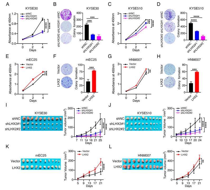 https://cdn.ncbi.nlm.nih.gov/pmc/blobs/80e3/9408536/e61d7b5f839e/genes-13-01457-g002.jpg