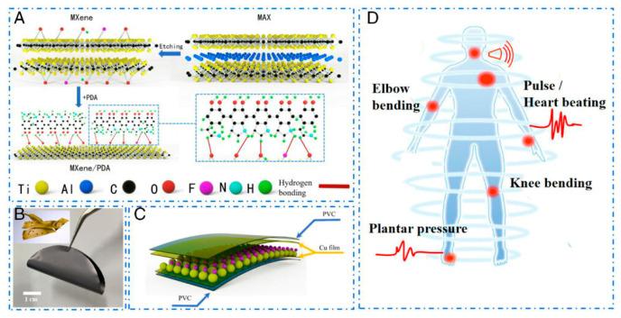 https://cdn.ncbi.nlm.nih.gov/pmc/blobs/80f8/11506004/727ac1416b32/biosensors-14-00497-g001.jpg