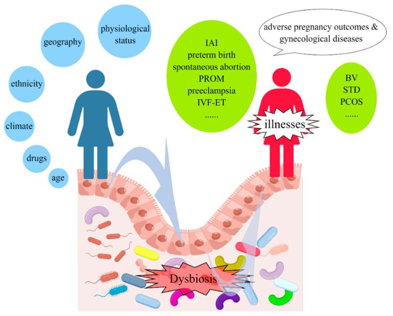 https://cdn.ncbi.nlm.nih.gov/pmc/blobs/8112/10146011/4ca3de7ca144/microorganisms-11-00991-g001.jpg