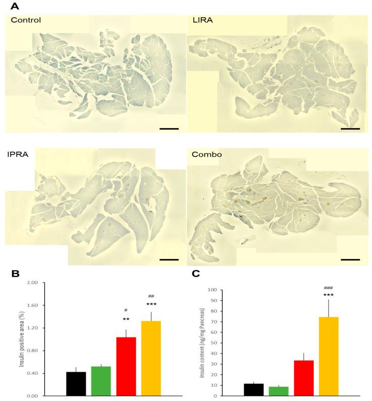 https://cdn.ncbi.nlm.nih.gov/pmc/blobs/8122/8583813/fea406a67063/ijms-22-11463-g007.jpg