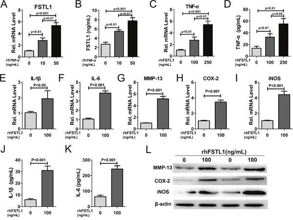https://cdn.ncbi.nlm.nih.gov/pmc/blobs/8155/5522124/25c219a431cb/oncotarget-08-43023-g003.jpg