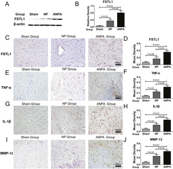 https://cdn.ncbi.nlm.nih.gov/pmc/blobs/8155/5522124/397526b24e38/oncotarget-08-43023-g002.jpg