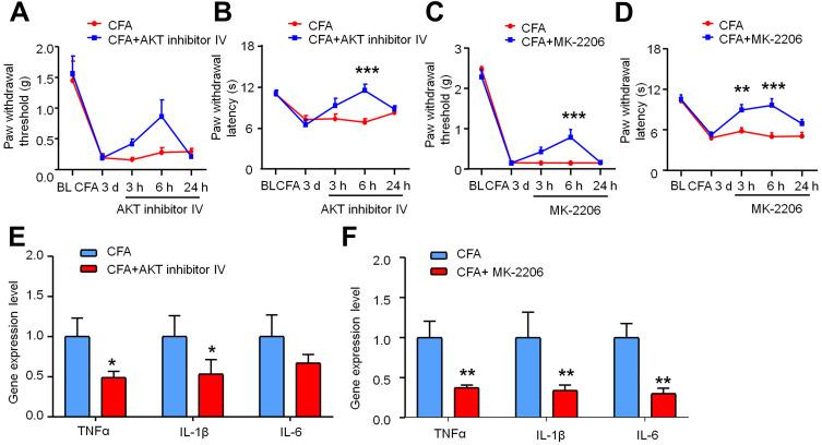 https://cdn.ncbi.nlm.nih.gov/pmc/blobs/817c/7718987/58809523853c/JPR-13-3195-g0006.jpg