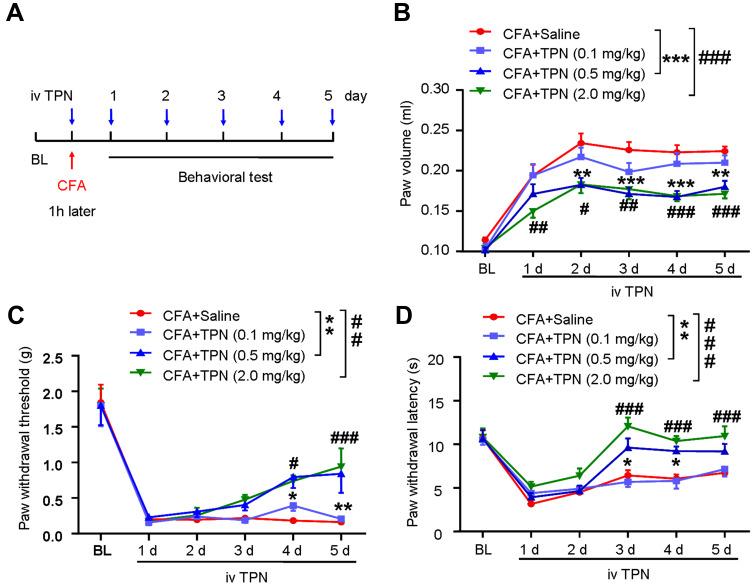https://cdn.ncbi.nlm.nih.gov/pmc/blobs/817c/7718987/a7fad56cb889/JPR-13-3195-g0002.jpg