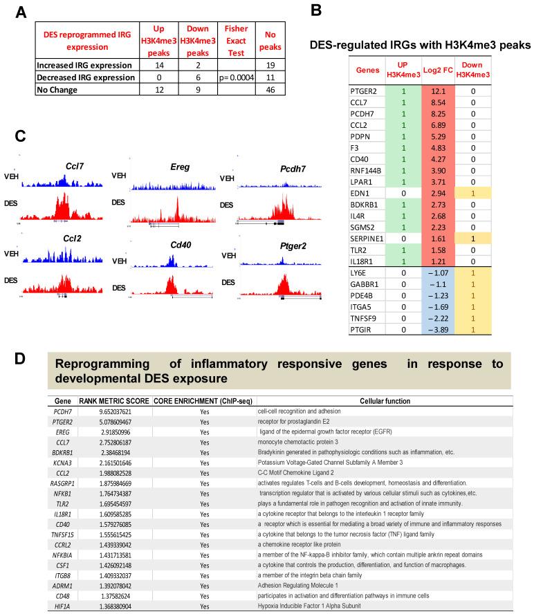 https://cdn.ncbi.nlm.nih.gov/pmc/blobs/81a5/10380326/ef02f07e6413/ijms-24-11641-g002.jpg