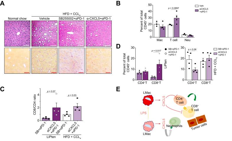 https://cdn.ncbi.nlm.nih.gov/pmc/blobs/81a8/12151196/402d0367ae0d/gr8.jpg