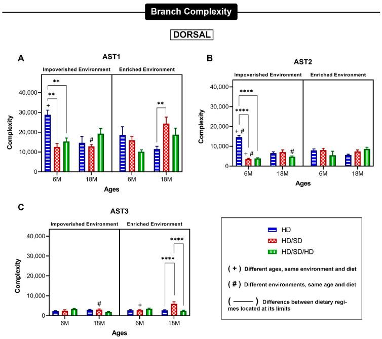 https://cdn.ncbi.nlm.nih.gov/pmc/blobs/81c3/9180988/dd912e224fbb/ijms-23-06342-g006.jpg