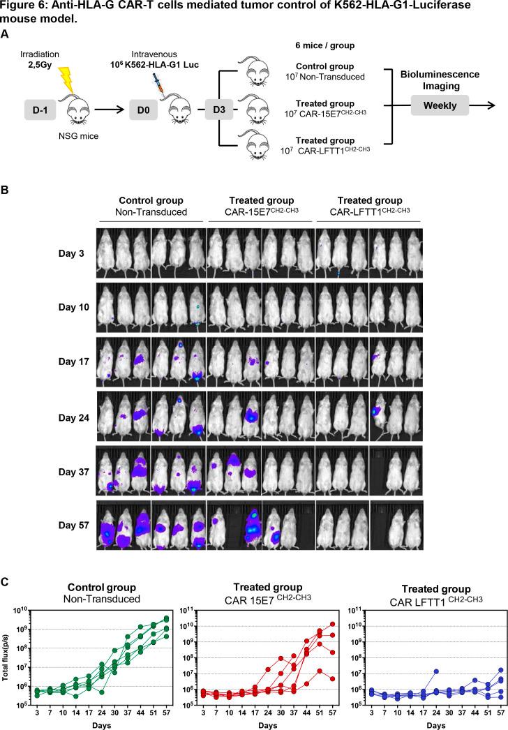 https://cdn.ncbi.nlm.nih.gov/pmc/blobs/81c5/7978334/7af0ae0a59e5/jitc-2020-001998f06.jpg