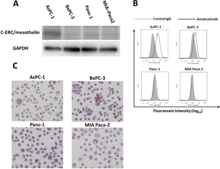 https://cdn.ncbi.nlm.nih.gov/pmc/blobs/81d9/6173461/2eefeac5a344/oncotarget-09-33844-g001.jpg