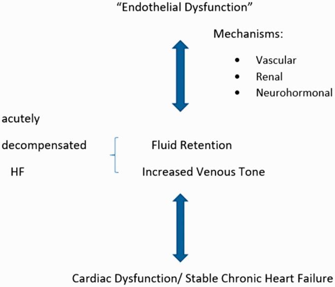 https://cdn.ncbi.nlm.nih.gov/pmc/blobs/8227/6460884/a46f9e63823b/10.1177_2048004019843047-fig1.jpg