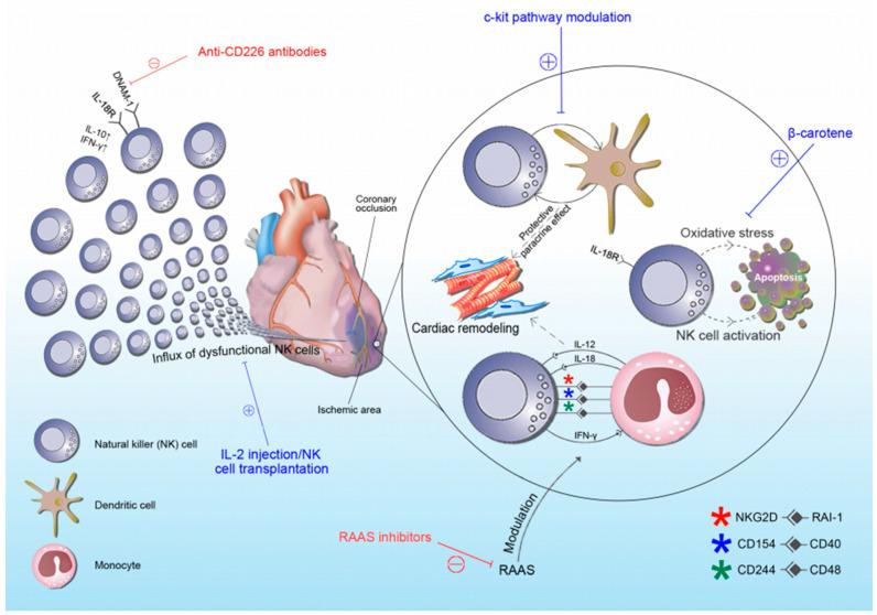 https://cdn.ncbi.nlm.nih.gov/pmc/blobs/822b/7694449/e600b8e19dbe/biomolecules-10-01514-g001.jpg