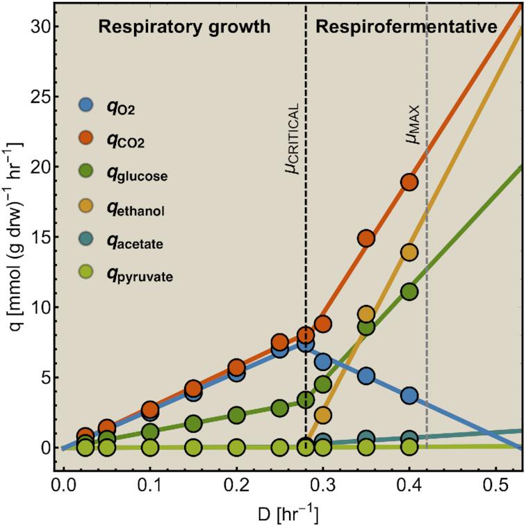 https://cdn.ncbi.nlm.nih.gov/pmc/blobs/822d/7685786/04e52bfe2121/fuaa034fig9.jpg