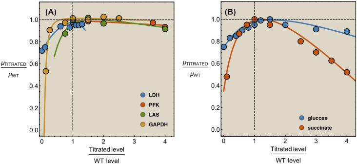 https://cdn.ncbi.nlm.nih.gov/pmc/blobs/822d/7685786/a7d66d660119/fuaa034fig4.jpg