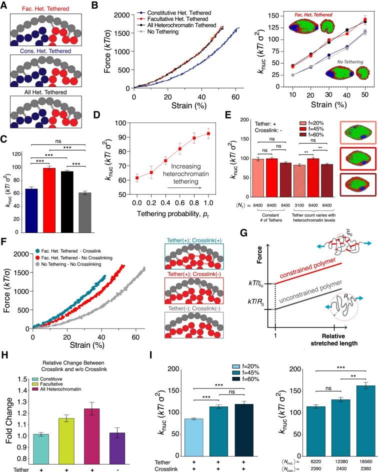 https://cdn.ncbi.nlm.nih.gov/pmc/blobs/822f/12359041/e27be6e12f00/gkaf763fig3.jpg