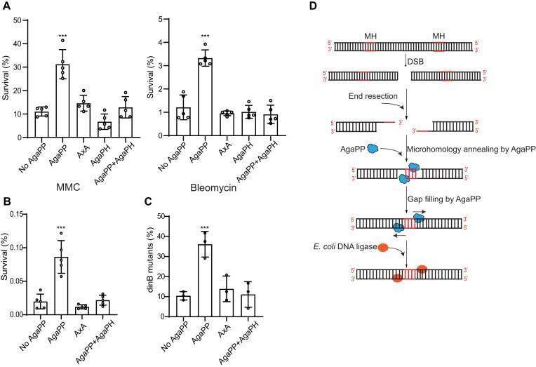 https://cdn.ncbi.nlm.nih.gov/pmc/blobs/824c/11724360/3f84d10838b7/gkae1318fig6.jpg