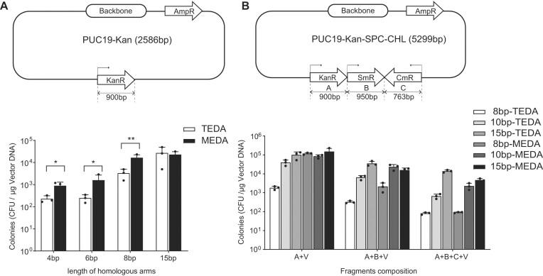 https://cdn.ncbi.nlm.nih.gov/pmc/blobs/824c/11724360/43c422017799/gkae1318fig7.jpg