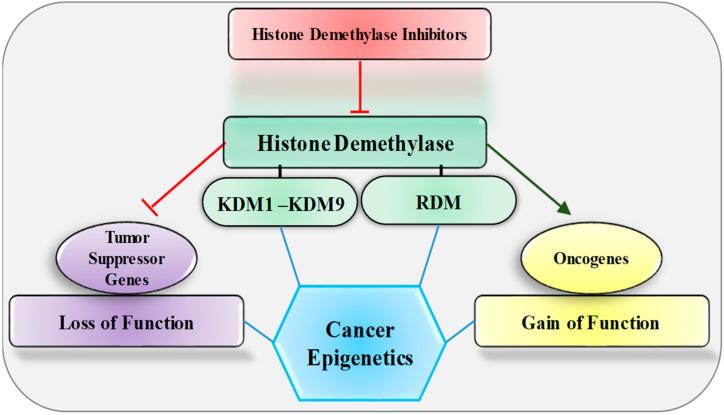 https://cdn.ncbi.nlm.nih.gov/pmc/blobs/825a/10204559/a7194832c451/epigenomes-07-00010-g001.jpg