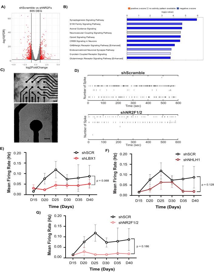 https://cdn.ncbi.nlm.nih.gov/pmc/blobs/826c/10897179/1de960c84d28/44319_2023_24_Fig7_HTML.jpg