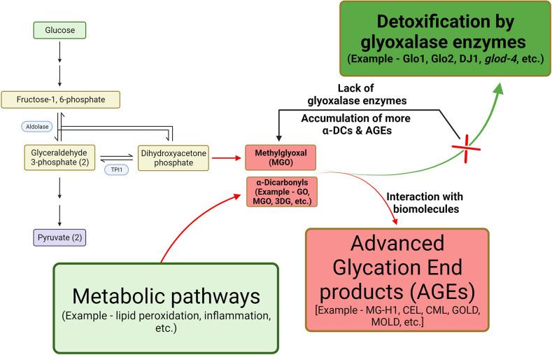 https://cdn.ncbi.nlm.nih.gov/pmc/blobs/827e/10611433/0db5e9a460f6/elife-82446-fig1.jpg