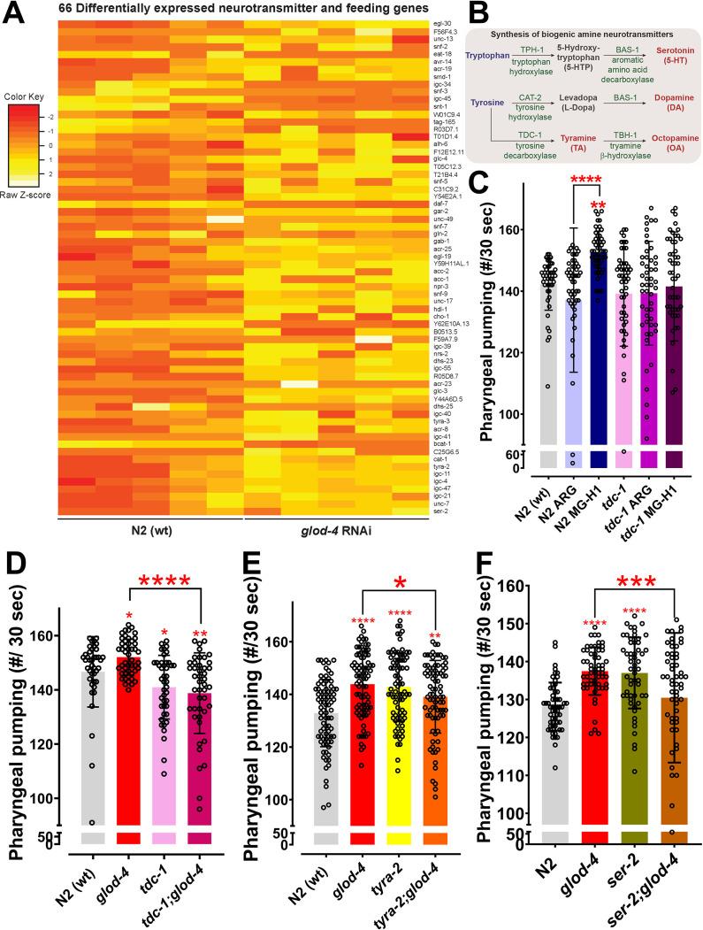 https://cdn.ncbi.nlm.nih.gov/pmc/blobs/827e/10611433/0e648fadac40/elife-82446-fig3.jpg
