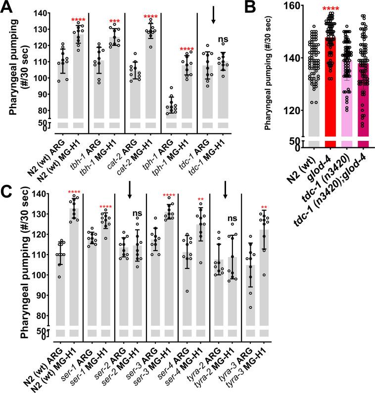 https://cdn.ncbi.nlm.nih.gov/pmc/blobs/827e/10611433/78d2d73353df/elife-82446-fig3-figsupp2.jpg
