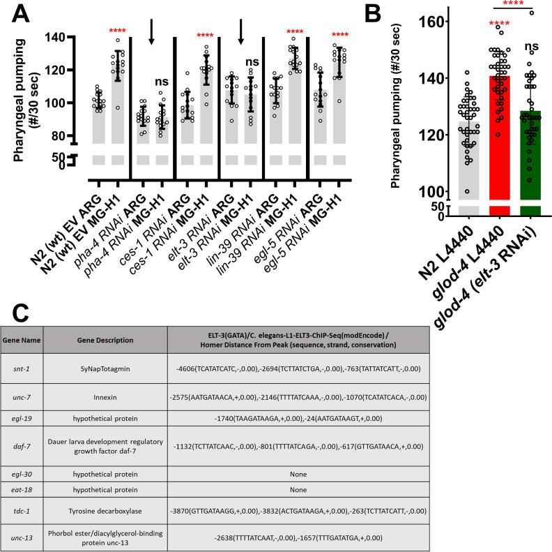 https://cdn.ncbi.nlm.nih.gov/pmc/blobs/827e/10611433/9aebf879950b/elife-82446-fig4-figsupp1.jpg