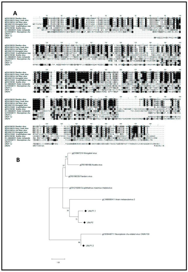 https://cdn.ncbi.nlm.nih.gov/pmc/blobs/829a/10974309/34711ec12f00/viruses-16-00395-g003.jpg