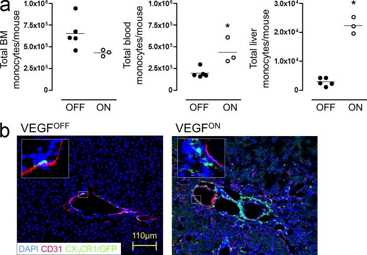 https://cdn.ncbi.nlm.nih.gov/pmc/blobs/82c6/3832929/3bfecc21b464/JEM_20120690_Fig1.jpg
