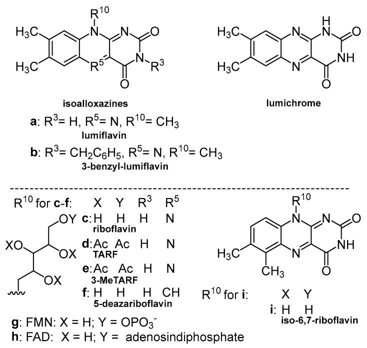 https://cdn.ncbi.nlm.nih.gov/pmc/blobs/82eb/10528563/2f10f6a95a78/cells-12-02304-g001.jpg