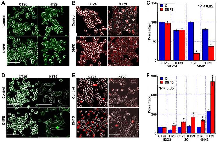 https://cdn.ncbi.nlm.nih.gov/pmc/blobs/82fe/10197964/39334164c850/oncotarget-14-28436-g004.jpg