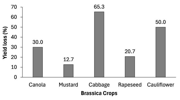 https://cdn.ncbi.nlm.nih.gov/pmc/blobs/8305/12252070/e65c0327e1c5/plants-14-01942-g003.jpg