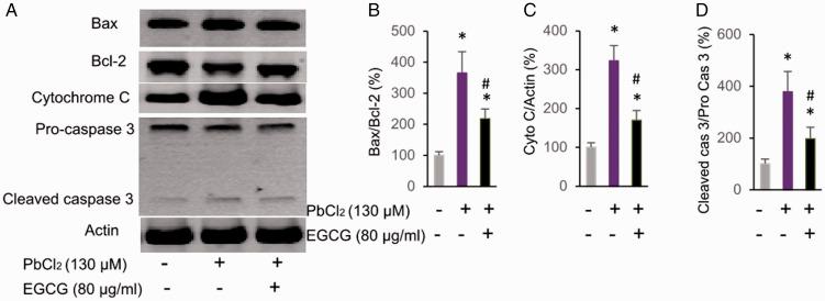 https://cdn.ncbi.nlm.nih.gov/pmc/blobs/8308/7303786/a2b36d73701c/10.1177_0300060520930847-fig5.jpg