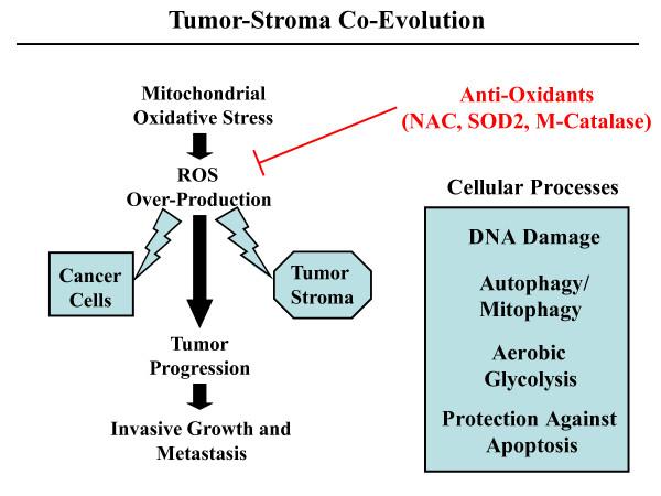 https://cdn.ncbi.nlm.nih.gov/pmc/blobs/8327/3123229/9cb92b9146e7/1741-7015-9-62-1.jpg