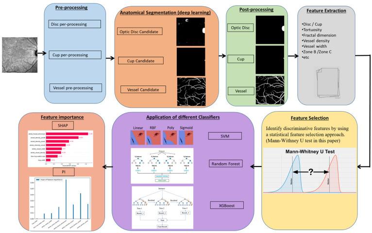 https://cdn.ncbi.nlm.nih.gov/pmc/blobs/8338/12384046/ac17ce816db8/bioengineering-12-00847-g001.jpg
