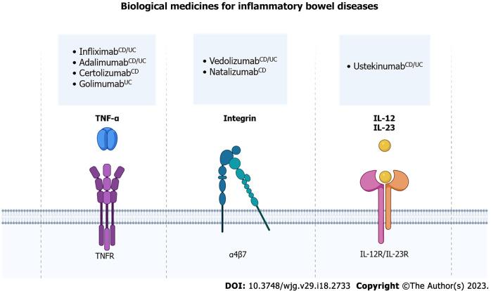 https://cdn.ncbi.nlm.nih.gov/pmc/blobs/8346/10237104/b454bfe3f0df/WJG-29-2733-g002.jpg