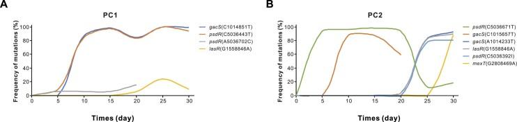 https://cdn.ncbi.nlm.nih.gov/pmc/blobs/8350/11040156/6130657090bd/gkae187fig3.jpg