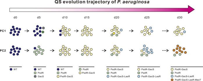 https://cdn.ncbi.nlm.nih.gov/pmc/blobs/8350/11040156/b5c7f20f7349/gkae187fig4.jpg