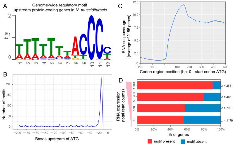 https://cdn.ncbi.nlm.nih.gov/pmc/blobs/8362/11592040/d6dcc0d6e5f2/biology-13-00952-g003.jpg