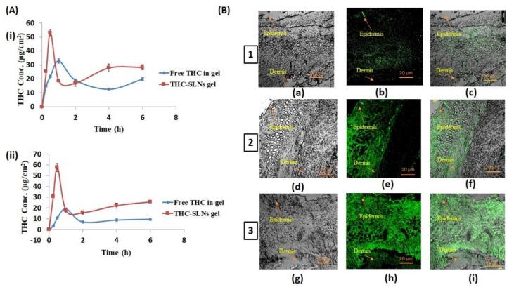 https://cdn.ncbi.nlm.nih.gov/pmc/blobs/8366/8879523/7488885369f3/nanomaterials-12-00636-g005.jpg