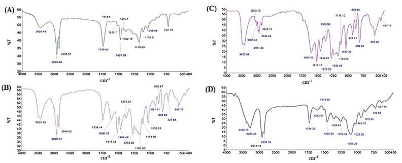 https://cdn.ncbi.nlm.nih.gov/pmc/blobs/8366/8879523/fae009c992eb/nanomaterials-12-00636-g002.jpg