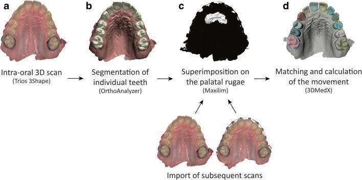 https://cdn.ncbi.nlm.nih.gov/pmc/blobs/836f/7966628/b78ea883c062/784_2020_3502_Fig1_HTML.jpg