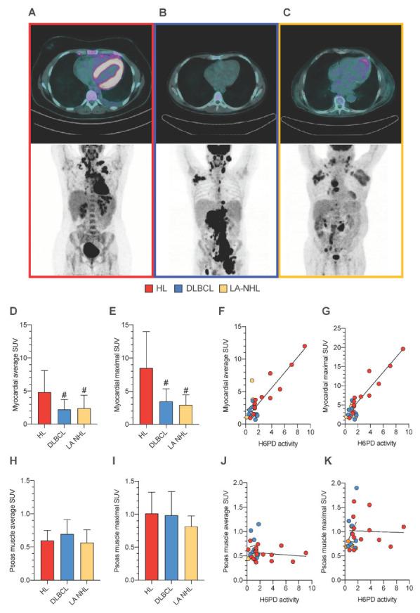 https://cdn.ncbi.nlm.nih.gov/pmc/blobs/838b/10341255/b98ceddd2212/cancers-15-03533-g003.jpg