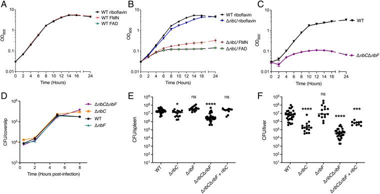 https://cdn.ncbi.nlm.nih.gov/pmc/blobs/8392/9060500/63b97559dcc2/pnas.2122173119fig03.jpg