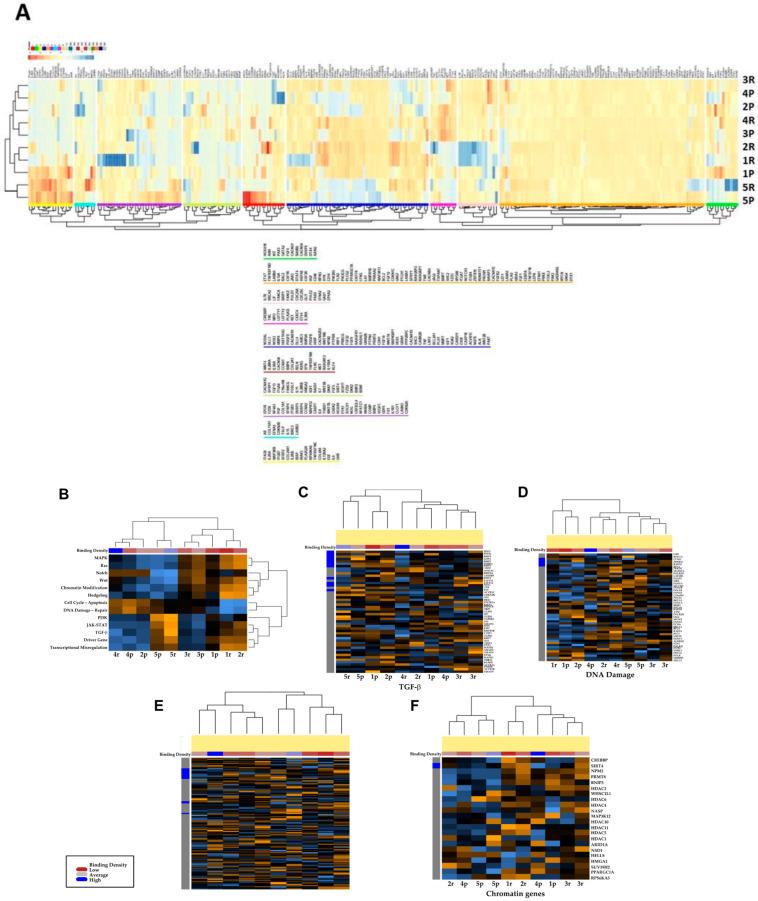 https://cdn.ncbi.nlm.nih.gov/pmc/blobs/8393/10297152/212a360eea47/cancers-15-03256-g002.jpg