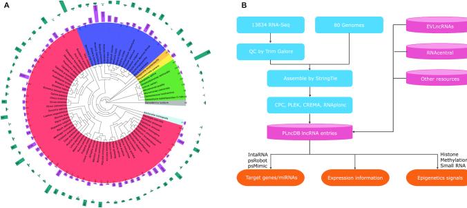 https://cdn.ncbi.nlm.nih.gov/pmc/blobs/8395/7778960/18bd2bfae204/gkaa910fig1.jpg