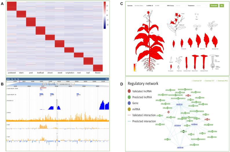 https://cdn.ncbi.nlm.nih.gov/pmc/blobs/8395/7778960/c903c049f650/gkaa910fig2.jpg